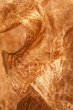 Dry fiber background Dry fiber background