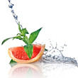 Water splash on grapefruit with mint isolated on white