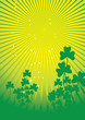 ST PATRICK BG 4