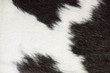 cow-hide cow-hide