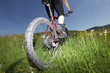 Uphill im hohen Gras