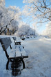 Frosty park in winter Frosty park in winter
