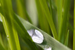 water drop