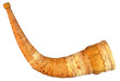 Wooden shepherd's horn isolated on white background.