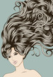 Woman's face with long detailed flowing hair Woman's face with long detailed flowing hair