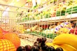 Shopping, Einkaufswagen, Lebensmittel-Shop