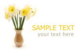 bouquet of spring flowers in vase, isolated on white background
