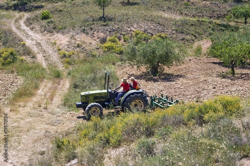 Photo: Faming land in Murcia Faming land in Murcia