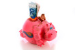 Tirelire et billets