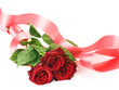 Beautiful Red Roses Beautiful Red Roses