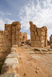 Ruins of Rasafa Syria