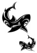 Shark tattoo