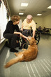Photo: Elderly Man with Woman Petting Dog Elderly Man with Woman Petting Dog