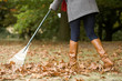 A young woman raking up autumn leaves
