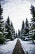 Snow path Snow path