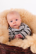 Baby im Korb