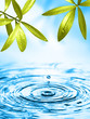 Frisches Wasser Frisches Wasser