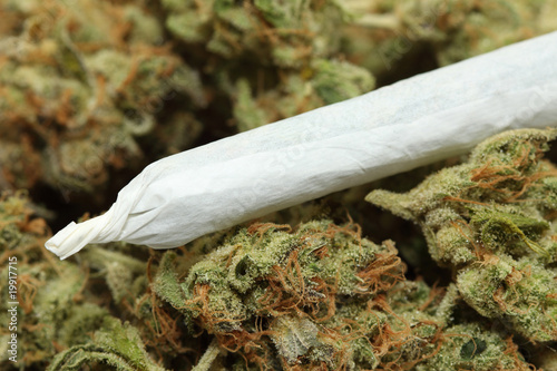 Photo: joint joint