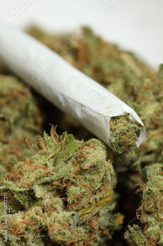Photo: joint joint