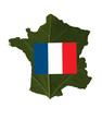 Campagne électorale Française