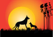 Vector: two dingo's two dingo's