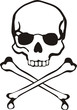 cross bones skull