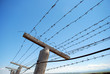 barbed wire fence