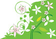 Flower background