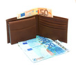 Wallet with Euro money
