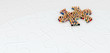 Cartoon Crowd, Jigsaw Shape Cartoon Crowd, Jigsaw Shape