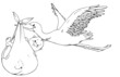 Vektor: Baby, Klapperstorch, Geburt, Schwanger, Schwangerschaft Baby, Klapperstorch, Geburt, Schwanger, Schwangerschaft