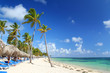 Resort beach fringed with palm trees, sunshades and beach chairs
