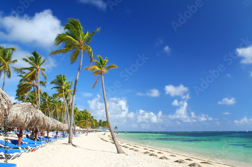 Photo: Resort beach fringed with palm trees, sunshades and beach chairs Resort beach fringed with palm trees, sunshades and beach chairs