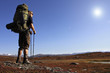 Hiker on the Trail