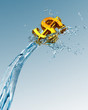 Golden dollar on wave