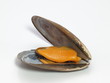 moule