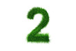 Grüne Nummer 2 Grüne Nummer 2