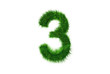 Grüne Nummer 3 Grüne Nummer 3