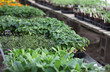 nursery