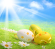 Easter Eggs Easter Eggs