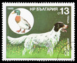 Animals on a postage stamp Animals on a postage stamp