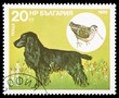 Animals on a postage stamp Animals on a postage stamp