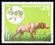 Animals on a postage stamp Animals on a postage stamp