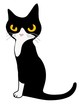Handsome cat