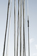 Vertical ropes