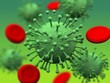 Viruses and blood cells