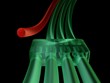connection problem