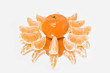 Sunny Mandarin