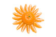 Sunny Mandarin