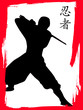 ninja